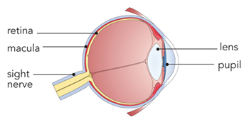 EyeWebtrade